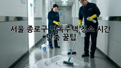 서울 종로구 단독주택 청소 시간 단축 꿀팁!