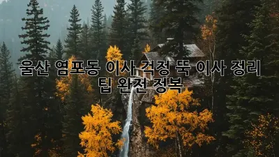 울산 염포동 이사? 걱정 뚝! 이사 정리 팁 완전 정복!